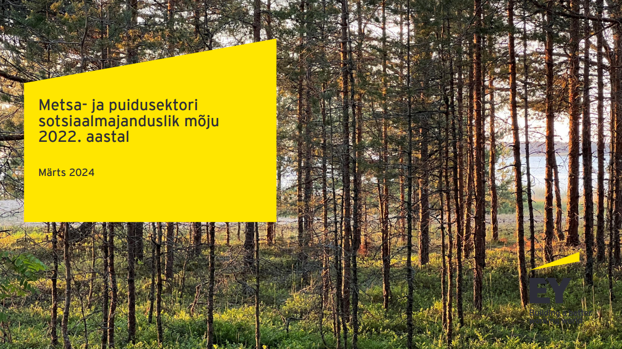 Ernst & Young uuring:  iga kaheksas töökoht Eestis on seotud puidu- ja metsandussektoriga