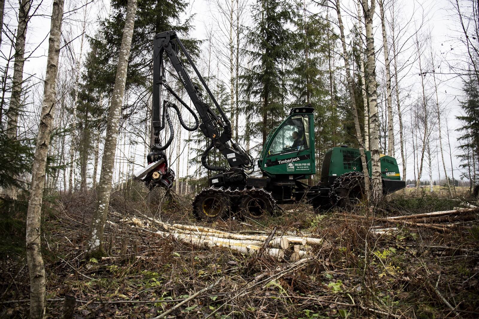 Riigikohus otsustas jätta rahuldamata OÜ Voore Mets ja AS Lemeks Põlva kaebused, milles ettevõtted vaidlustasid Keskkonnaameti korralduse peatada metsaraied lin