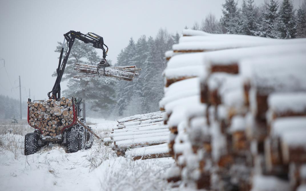 Kliimaministeerium lubab riigimetsas sel aastal uuendusraieid teha umbes kümnendiku väiksemal pindalal kui varasemalt. Selleks, et vähendada raiemahuga seotud e