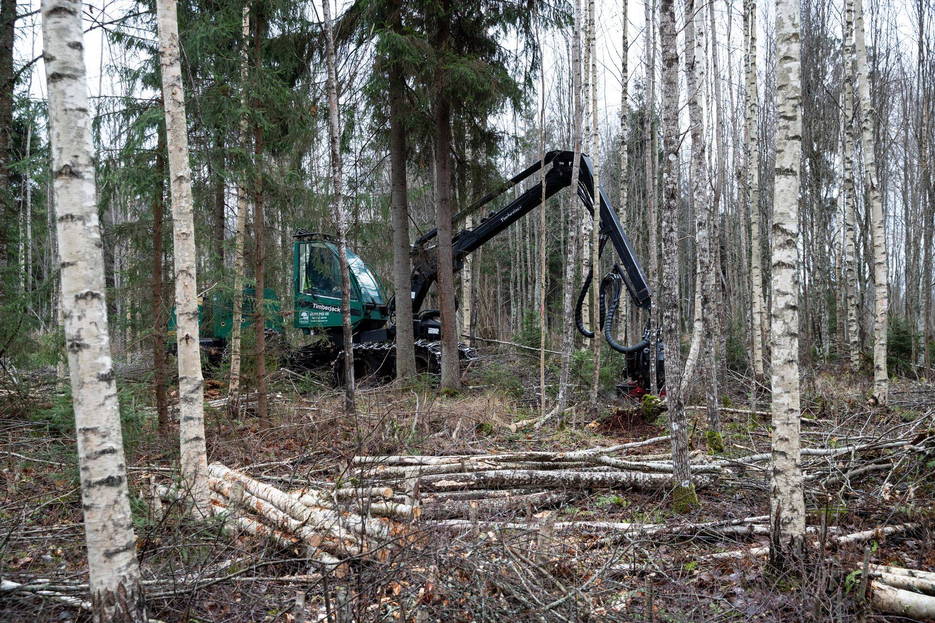 Tallinna Ülikooli koostatud uuringu järgi võib raiemahu vähendamine 8 miljoni kuupmeetrini aastas vähendada metsa- ja puidusektori loodavat lisandväärtust ning 